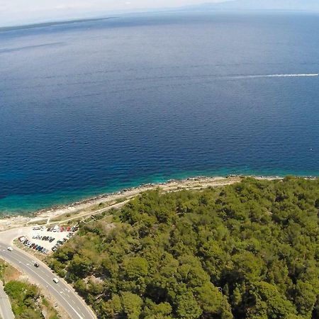 The Look Apartment Mali Lošinj Екстериор снимка