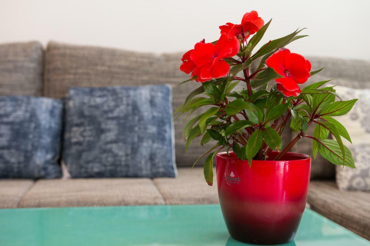 The Look Apartment Mali Lošinj Екстериор снимка